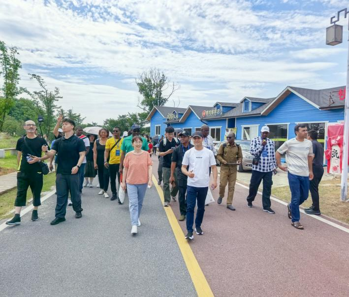 27名国际学员打卡江夏灵山:这里的改变超乎想象!